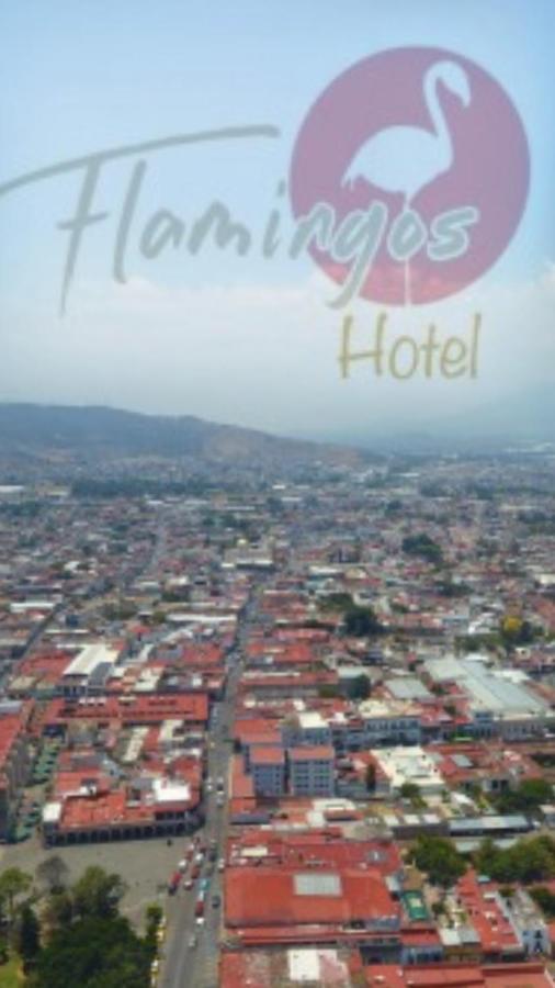 Hotel Flamingos De Ciudad Guzman Exterior photo