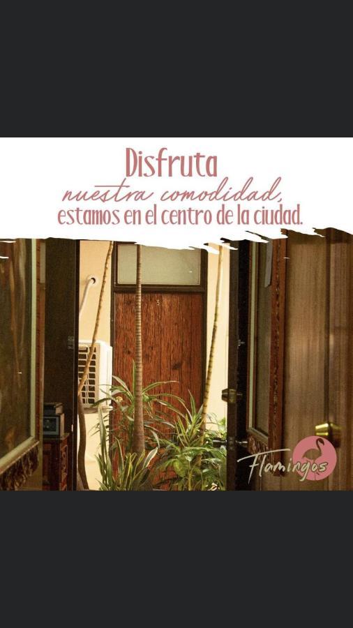 Hotel Flamingos De Ciudad Guzman Exterior photo